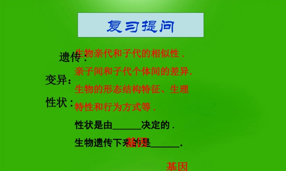 八年级生物下册 基因在亲子代间的传递4课件 人教新课标版 课件