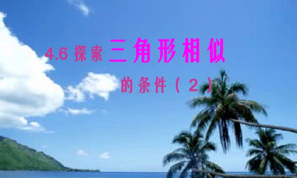八年级数学下册 4.6探索三角形相似的条件(2)课件 北师大版 课件