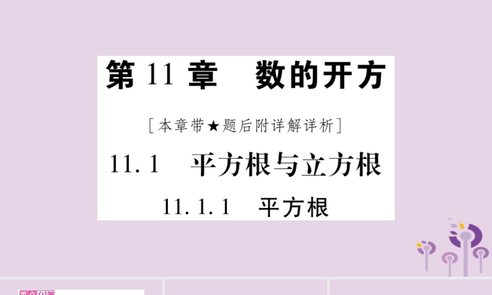 八年级数学上册 第11章 数的开方 11.1 平方根与立方根 11.1.1 平方根作业课件 (新版)华东师大版 课件
