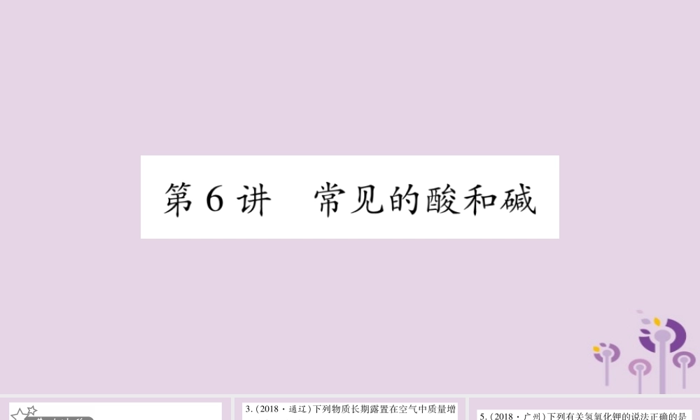 中考化学复习 第一部分 基础知识 第一单元 常见的物质 第6讲 常见的酸和碱(精练)课件