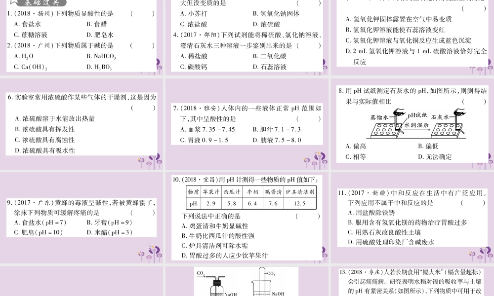 中考化学复习 第一部分 基础知识 第一单元 常见的物质 第6讲 常见的酸和碱(精练)课件