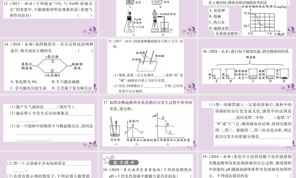 中考化学复习 第一部分 基础知识 第一单元 常见的物质 第6讲 常见的酸和碱(精练)课件