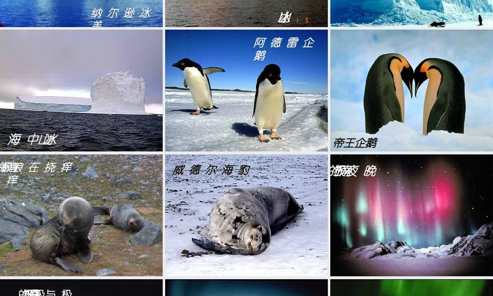 七年级语文下册 第21课(伟大的悲剧)课件 (新版)新人教版 课件