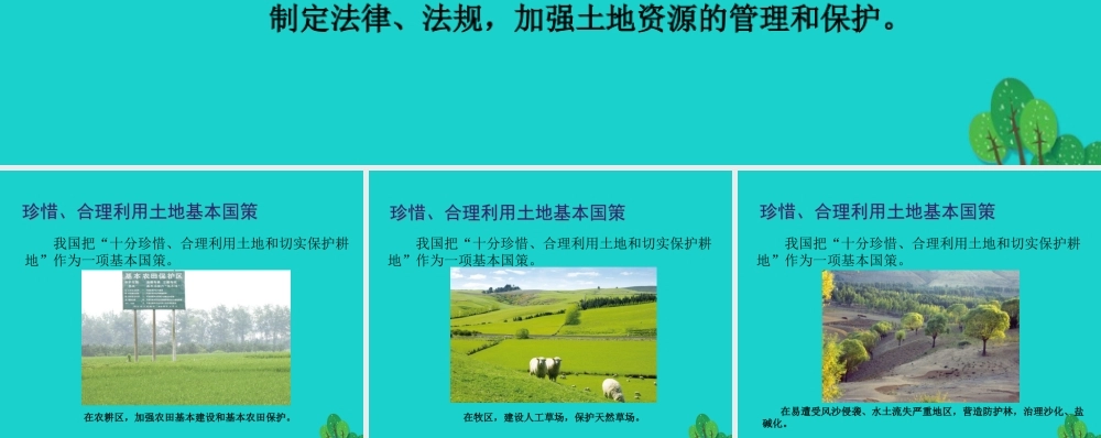 八年级地理上册 3.2 有限的耕地资源 珍惜、合理利用土地基本国策课件 晋教版 课件