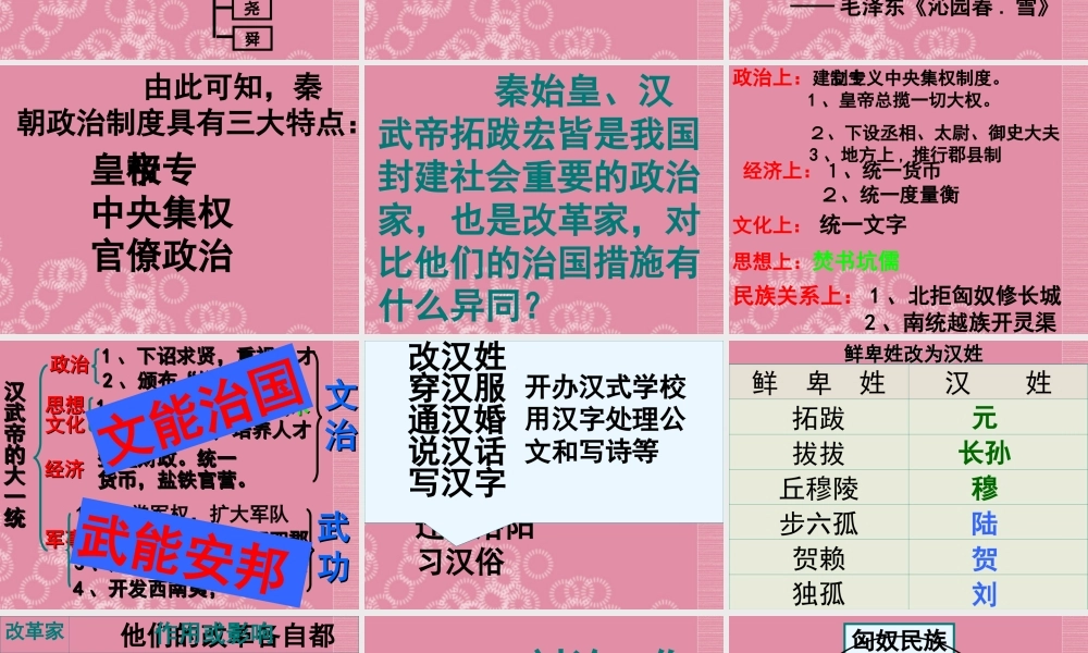 中考历史专题复习(一)政权的统一与强国措施课件 新人教版 课件