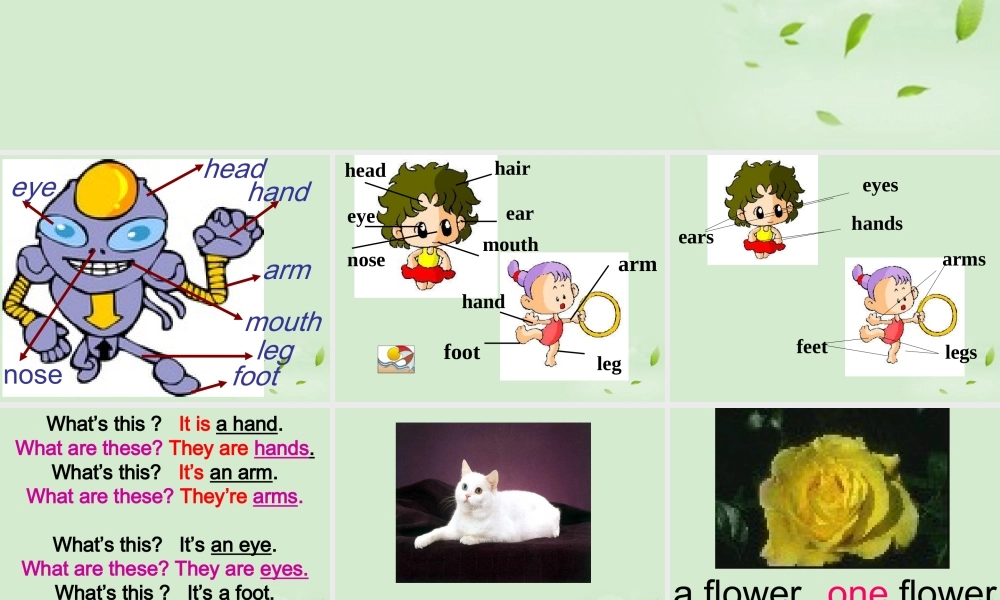 七年级英语上册 Starter Module 2 Unit 3 How many are there课件2 外研版 课件