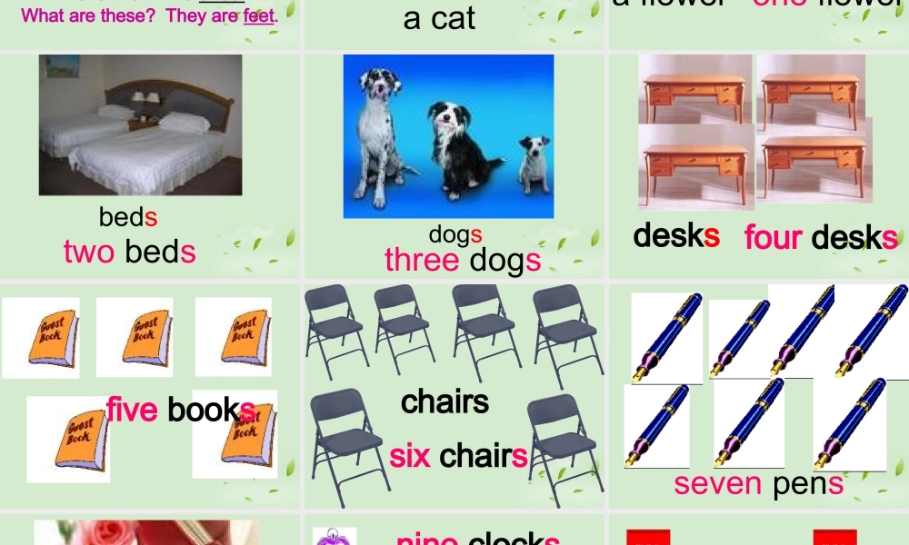 七年级英语上册 Starter Module 2 Unit 3 How many are there课件2 外研版 课件