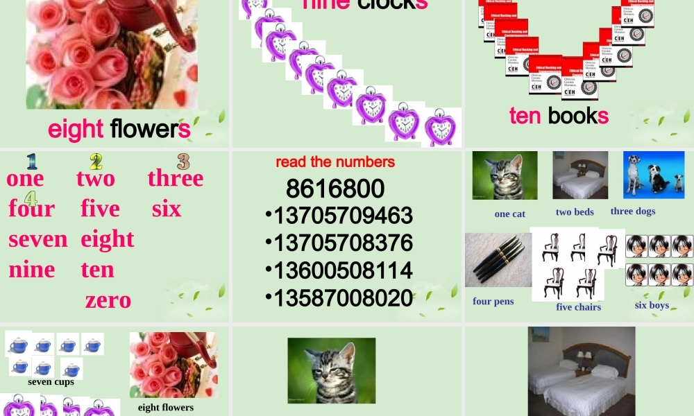 七年级英语上册 Starter Module 2 Unit 3 How many are there课件2 外研版 课件