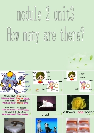 七年级英语上册 Starter Module 2 Unit 3 How many are there课件2 外研版 课件