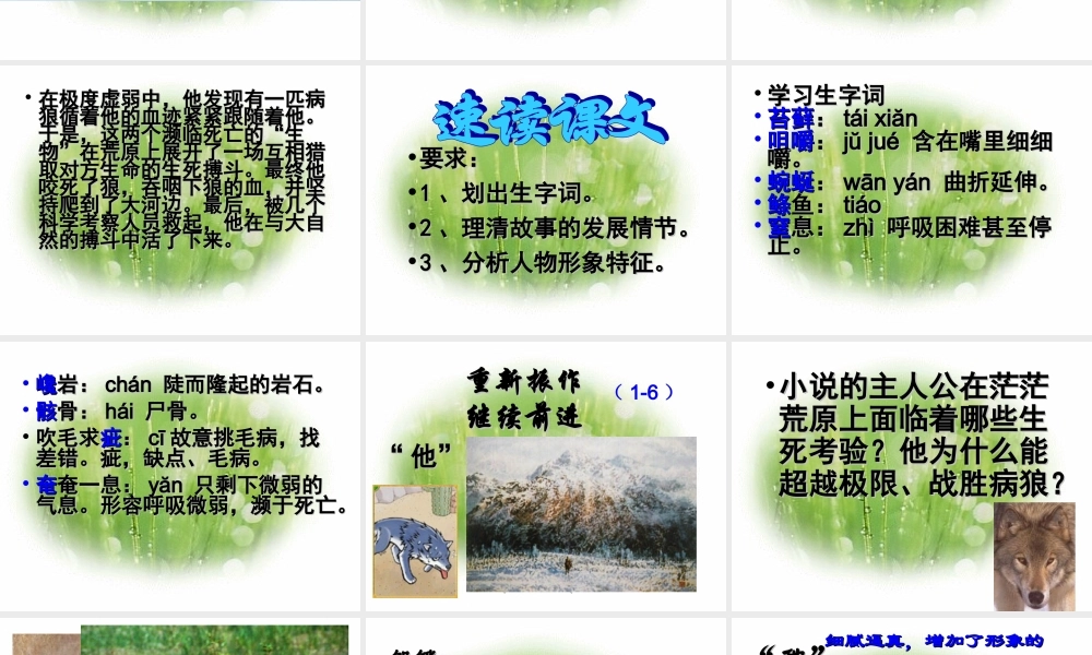 九年级语文上(热爱生命)课件7长春版 课件