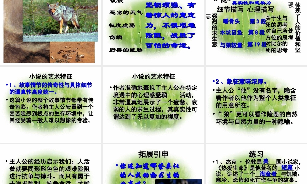 九年级语文上(热爱生命)课件7长春版 课件