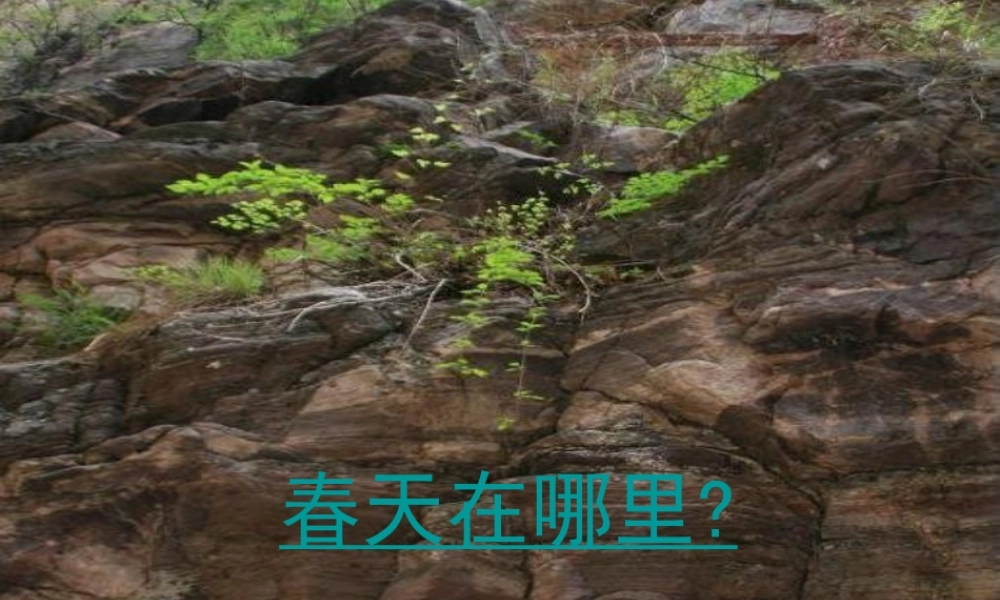 七年级语文上册 第14课(春)课件 苏教版 课件