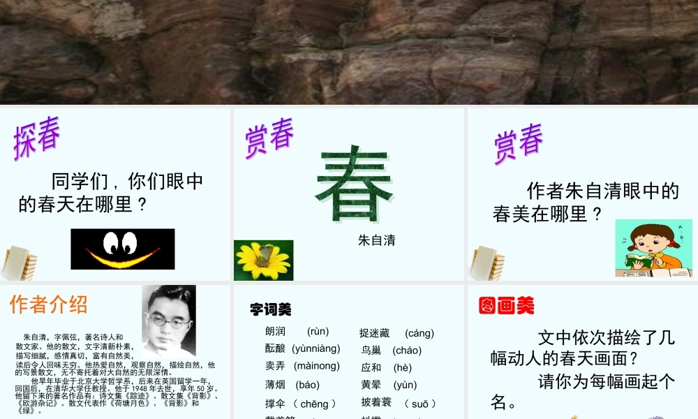 七年级语文上册 第14课(春)课件 苏教版 课件