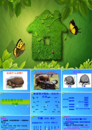 七年级语文下册 (珍奇的稀有动物--针鼹)精品课件 语文版 课件