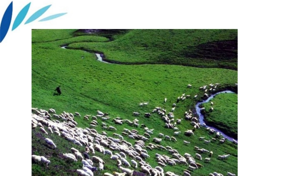 八年级生物下册v生态系统的组成课件 济南版 课件