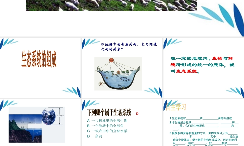 八年级生物下册v生态系统的组成课件 济南版 课件