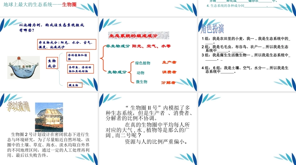八年级生物下册v生态系统的组成课件 济南版 课件