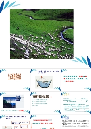 八年级生物下册v生态系统的组成课件 济南版 课件