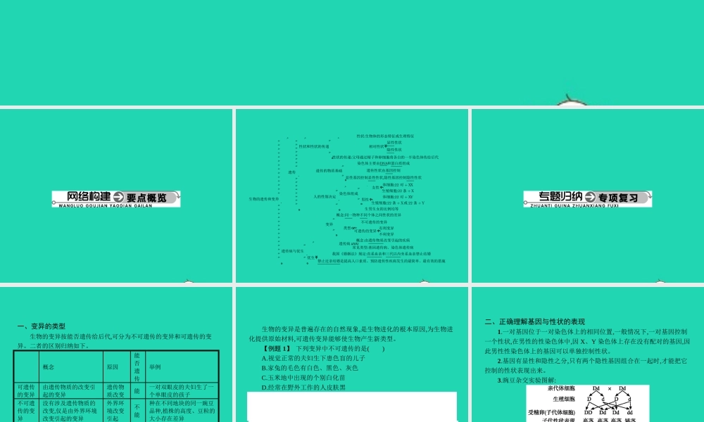 八年级生物下册 第六单元 第二章 生物的遗传和变异整合课件 (新版)冀教版 课件