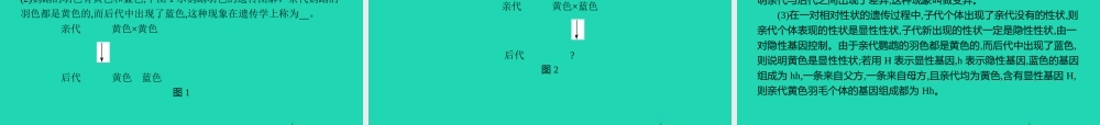 八年级生物下册 第六单元 第二章 生物的遗传和变异整合课件 (新版)冀教版 课件