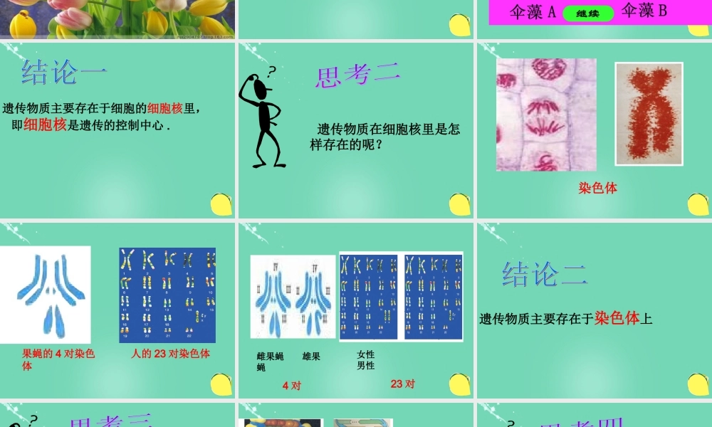 八年级生物上册 第四单元 第四章 第一节 遗传的物质基础课件(1)(新版)济南版 课件