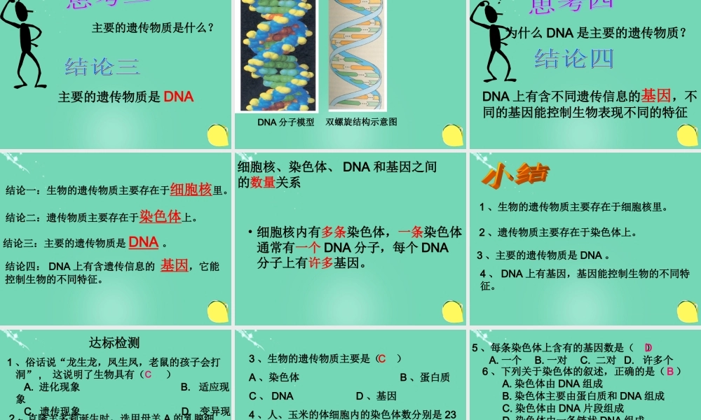 八年级生物上册 第四单元 第四章 第一节 遗传的物质基础课件(1)(新版)济南版 课件