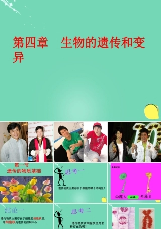 八年级生物上册 第四单元 第四章 第一节 遗传的物质基础课件(1)(新版)济南版 课件