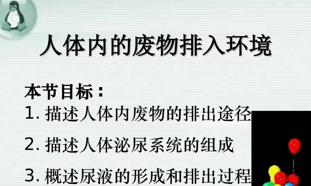 人体内的废物排入环境 初三生物复习 泌尿系统的复习课件(含ptt,falsh,exe,视频文件)苏教版