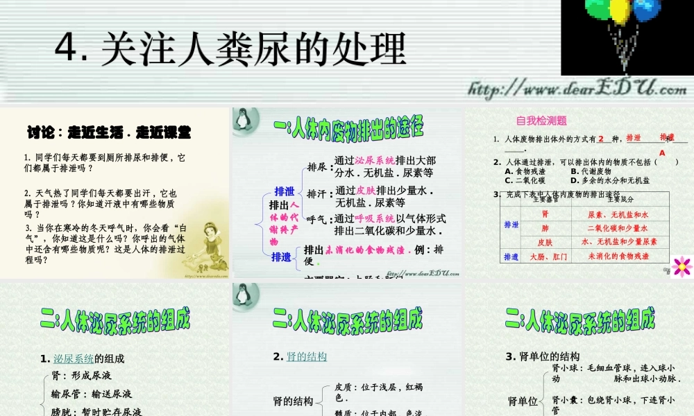 人体内的废物排入环境 初三生物复习 泌尿系统的复习课件(含ptt,falsh,exe,视频文件)苏教版