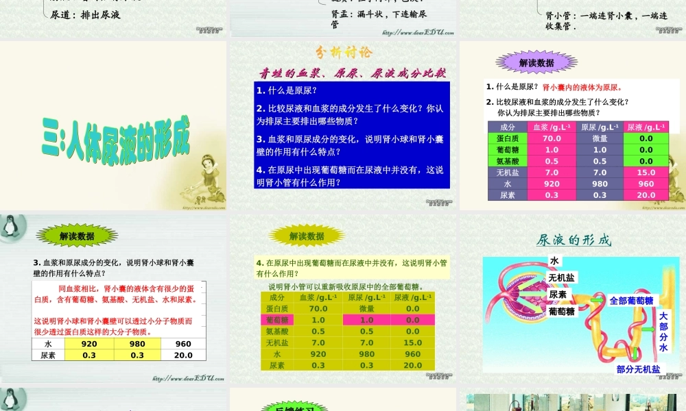 人体内的废物排入环境 初三生物复习 泌尿系统的复习课件(含ptt,falsh,exe,视频文件)苏教版