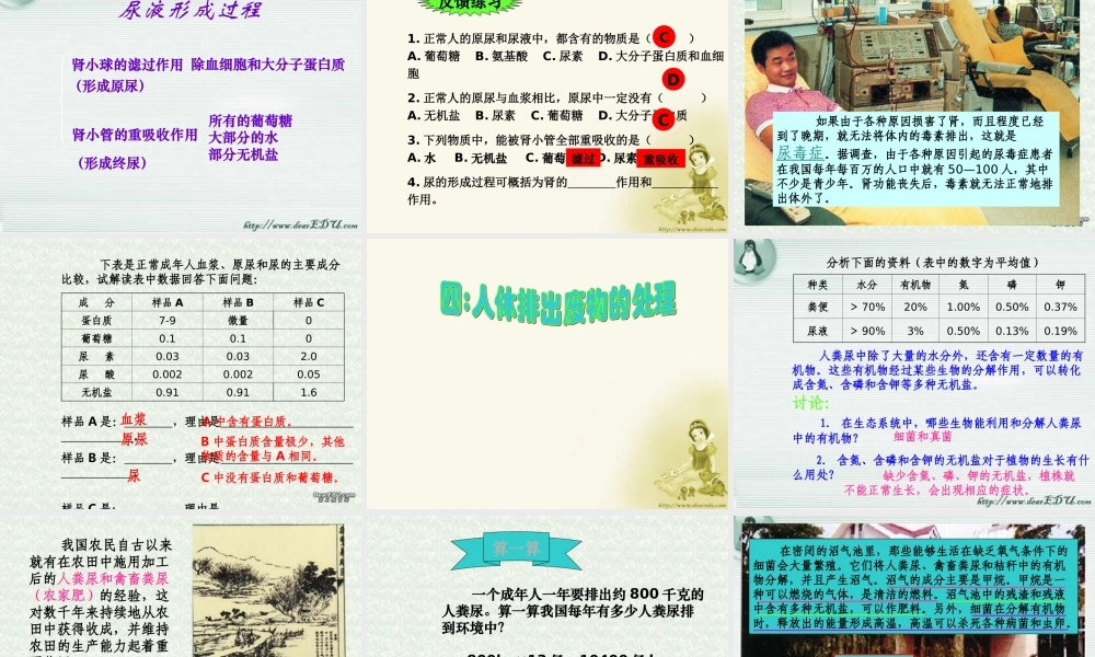 人体内的废物排入环境 初三生物复习 泌尿系统的复习课件(含ptt,falsh,exe,视频文件)苏教版