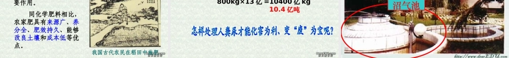 人体内的废物排入环境 初三生物复习 泌尿系统的复习课件(含ptt,falsh,exe,视频文件)苏教版