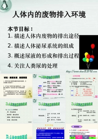 人体内的废物排入环境 初三生物复习 泌尿系统的复习课件(含ptt,falsh,exe,视频文件)苏教版