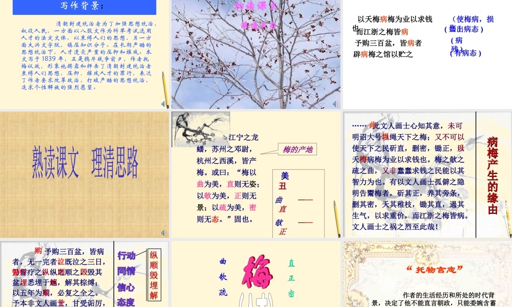 九年级语文下册 第11课(病梅馆记)课件 冀教版 课件