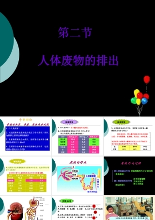 八年级生物：第14章第2节 人体内废物的排出课件人教版 课件