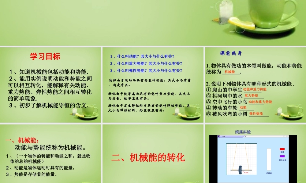 山东省泰安市岱岳区泰山菁华双语学校八年级物理下册 11.4 机械能及其转化课件 (新版)新人教版 课件