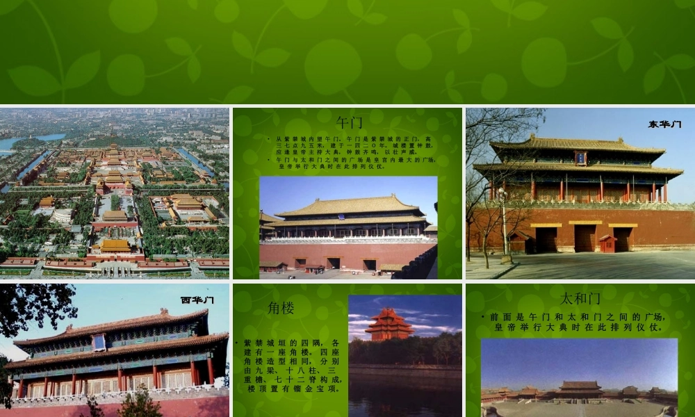 八年级语文上册 14(故宫博物院)课件 新人教版 课件