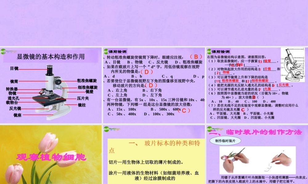 七年级生物上册 显微镜的使用和细胞课件 人教新课标版 课件