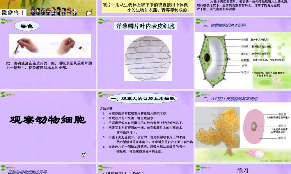 七年级生物上册 显微镜的使用和细胞课件 人教新课标版 课件