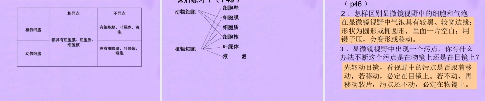 七年级生物上册 显微镜的使用和细胞课件 人教新课标版 课件