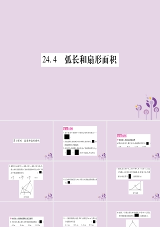 九年级数学上册 第二十四章 圆 244 弧长及扇形的面积 第1课时作业课件 (新版)新人教版 课件