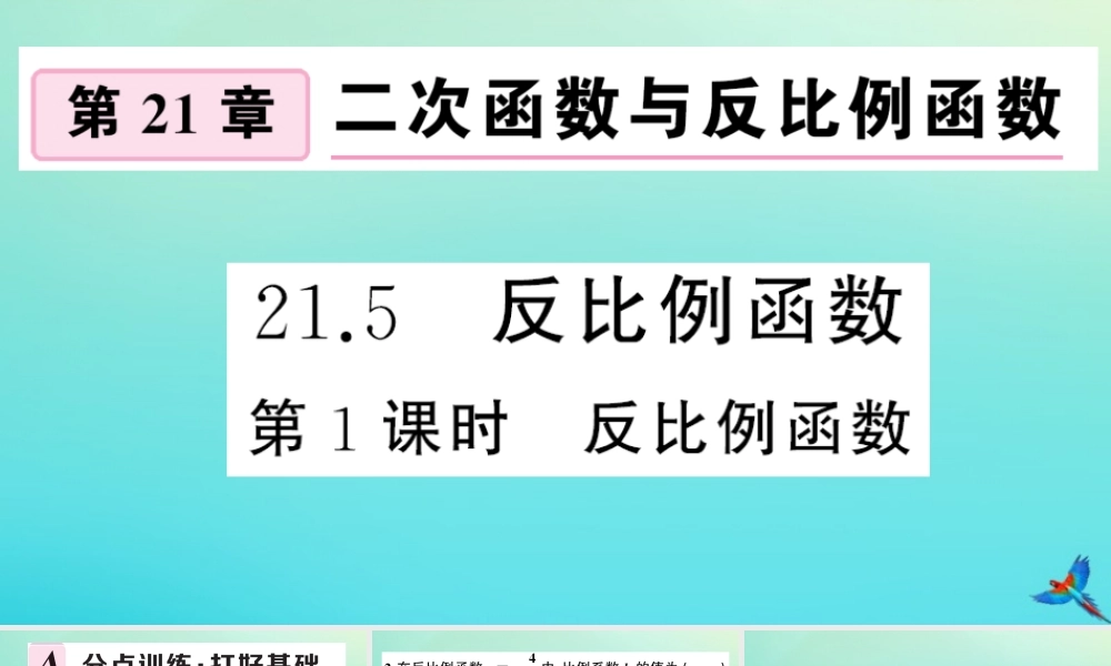 九年级数学上册 第21章 二次函数与反比例函数 215 反比例函数 第1课时 反比例函数作业课件 (新版)沪科版 课件