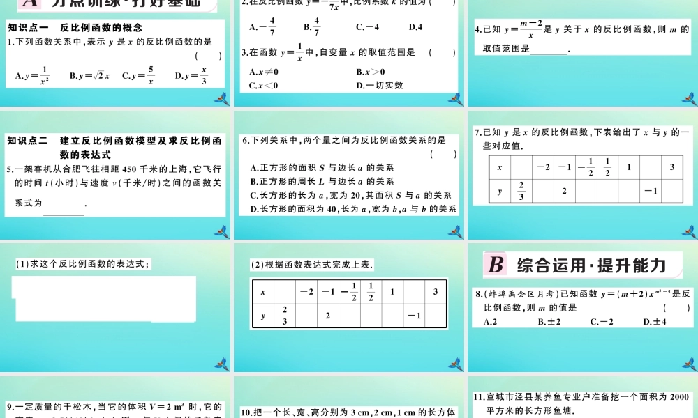 九年级数学上册 第21章 二次函数与反比例函数 215 反比例函数 第1课时 反比例函数作业课件 (新版)沪科版 课件