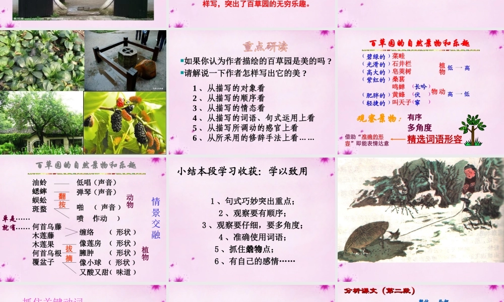 中学七年级语文下册 第1课(从百草园到三味书屋)课件2 (新版)新人教版 课件