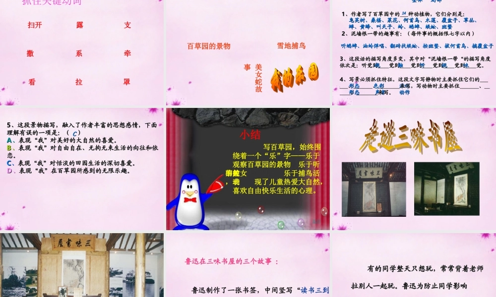 中学七年级语文下册 第1课(从百草园到三味书屋)课件2 (新版)新人教版 课件