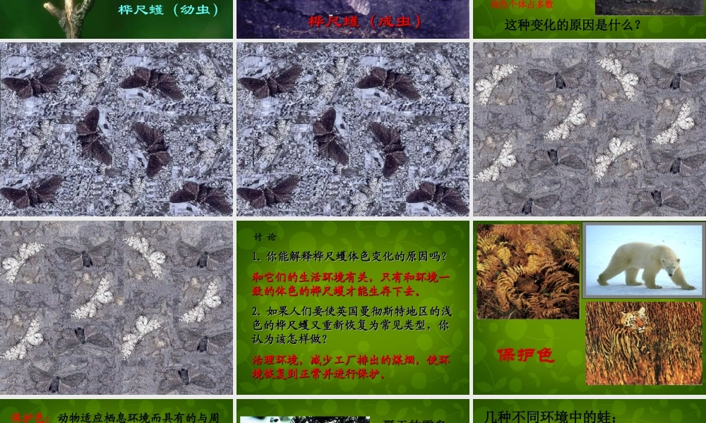 八年级生物下册 第七单元 第三章 第3节 生物进化的原因课件1 新人教版 课件