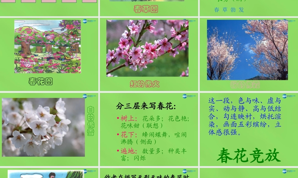 七年级语文上册 9 春课件 语文版 课件