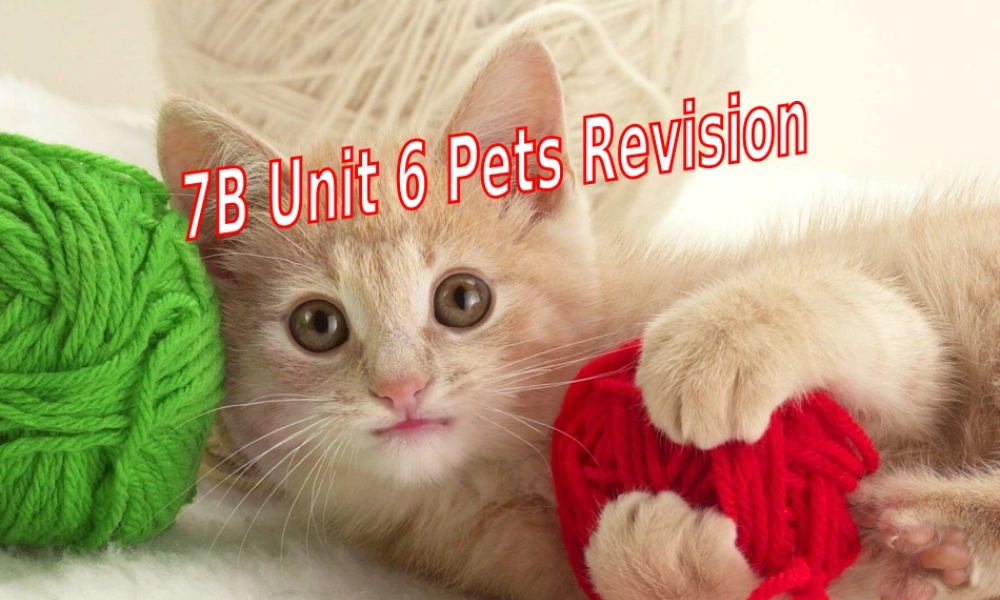 七年级英语7B unit6 revision公开课课件牛津版 课件