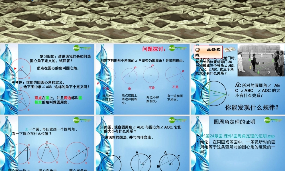 九年级数学上册 第24章1圆周角定理课件 人教新课标版 课件