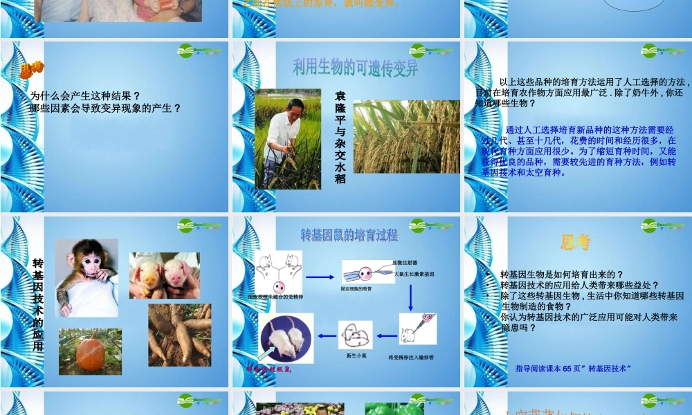 八年级生物 第一学期(试验本)第2章第一节 基因 生物的变异课件 上海版 课件
